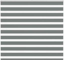 vidaXL - Zebra - rolgordijn - 155x100 - cm - stofbreedte - 150,9 - cm - donkergrijs