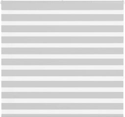 vidaXL - Zebra - rolgordijn - 165x150 - cm - stofbreedte - 160,9 - cm - lichtgrijs