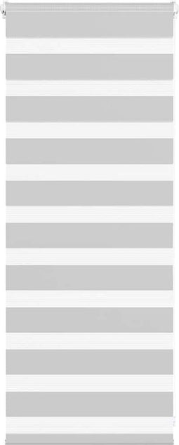 vidaXL - Zebra - rolgordijn - 55x100 - cm - stofbreedte - 50,9 - cm - lichtgrijs