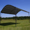 vidaXL - Zonneluifel - 3x2,4 - m - antraciet