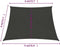vidaXL - Zonnezeil - 160 - g/m² - 4/5x4 - m - HDPE - antracietkleurig
