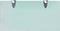 vidaXL - Zwevend - schap - 40x20 - cm - 8 - mm - glas