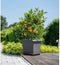 Vierkante bloempot - GARDEN ID - Teramo zwart-antraciet - 40 x 35 cm - Krasbestendig - Steeneffect - Met gaten