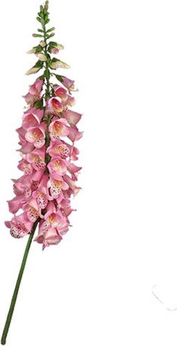 Vingerhoedskruid 127 cm Roze kunstplant