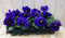 Violen Paars 12 stuks