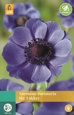 Jub - Anemone Coronaria Mr. Fokker