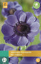 Jub - Anemone Coronaria Mr. Fokker