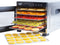Vita5 Nobel Pro 6 Voedseldroger - Dehydrator 6 Laags - Droogoven RVS - 24-Uurs Timer - Led-bedieningspaneel - 650 Watt