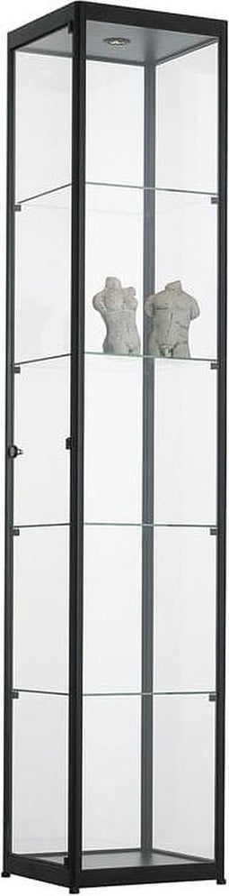 Vitrinekast met 4 legborden 200x40x40 Aluminium