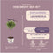 Viva Lavandula - 2 x Kuiflavendel Anouk® op Stam in Lavendelprint pot - set van 2 winterharde Lavendels