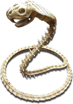 VIVING COSTUMES / JUINSA - Cobra skelet decoratie - Decoratie > Decoratie beeldjes