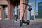 Ninebot Kickscooter ZT3 PRO Powered by Segway - E-step - Actieradius 70km - Snelheid: 25km/h