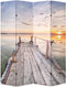 vidaXL - Kamerscherm - inklapbaar - meer - 160x170 - cm