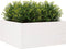 vidaXL - Plantenbak - 100x100x46 - cm - massief - grenenhout - wit