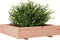 vidaXL - Plantenbak - 110x110x26,5 - cm - massief - douglashout
