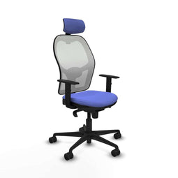 Piqueras y Crespo 1D036N2 - Bureaustoel - Hoofdsteun en verstelbare hoogte - Licht Blauw