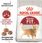 Royal Canin Fit - Kattenvoer Brokjes - Behoud ideaal lichaamsgewicht en voorkomt haarballen - 10 kg