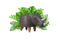 Kinderkruk - Neushoorn - Feel Furniture - Krukje Dieren - Dierenstoel -