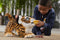FurReal Brullende Tyler, de Speelse Tijger - Interactieve knuffel