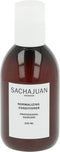 SachaJuan Normalizing Conditioner