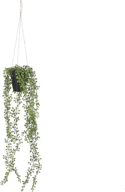Mica Decorations Senecio Kunst Hangplant in Pot - H68 x Ø9 cm - Groen