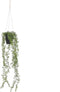Mica Decorations Senecio Kunst Hangplant in Pot - H68 x Ø9 cm - Groen