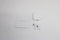 Apple AirPods 4 - TWS - ANC - Wit