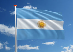 Vlag Argentinië - 50 vlaggen - Argentinië - 90/150cm - Vlag - Met poolgeleider