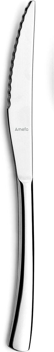 Vleesmessenset Amefa Havane Metaal Roestvrij staal 12 Stuks