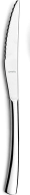 Vleesmessenset Amefa Havane Metaal Roestvrij staal 12 Stuks