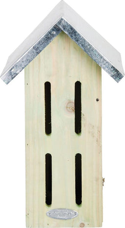Vlinderkast