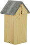 Vlinderkast