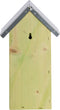 Vlinderkast