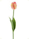 Vlinderorchidee Luxe Tak roze 80 cm