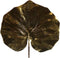 Vlinderorchidee Luxe Tak wit 80 cm