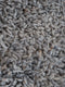 Vloerkleed Berbero Pelosa Grey 834 - 200 x 280 cm