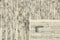 Vloerkleed MOMO Rugs Landscape River Beige 1018 300x400 cm