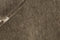 Vloerkleed MOMO Rugs New Age Path Brown 60x90