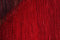 Vloerkleed MOMO Rugs Panorama Kelim Black Red 80x200 cm