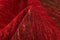 Vloerkleed MOMO Rugs Panorama Kelim Black Red 80x200 cm