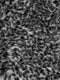 Vloerkleed Safari Grey 120 x 170 cm