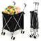 Coast Boodschappentrolley - Opvouwbaar - 54 kg - 90 L - 66 x 46 x 94,5 cm - Zwart