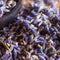 Premium Biologische Lavendel geurzakjes | 10 stuks x 20 gram | geurzakjes voor kledingkast