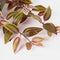 Mica Decorations Tradescantia - Kunst Hangplant - Hoogte 54 cm - Bordeaux