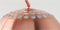 Zuiver Metal Bow Vloerlamp/ Booglamp Koper
