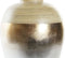 Vaas DKD Home Decor Natuurlijk Zilverkleurig Gouden Parelmoer Tropisch 25 x 25 x 53 cm Blad van een plant