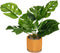 Atmosphera Kunstplant met pot bamboo - H35 cm