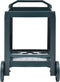 vidaXL - Dranktrolley - 69x53x72 - cm - kunststof - groen