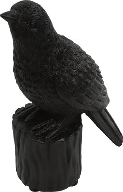 Vogel m/geluid Karolus XS zwart
