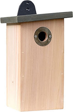 Vogelhuisje - Roofdier Proof